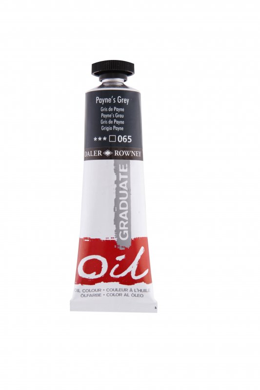 Daler-Rowney Graduate Óleo 38 ml - Gris de Payne