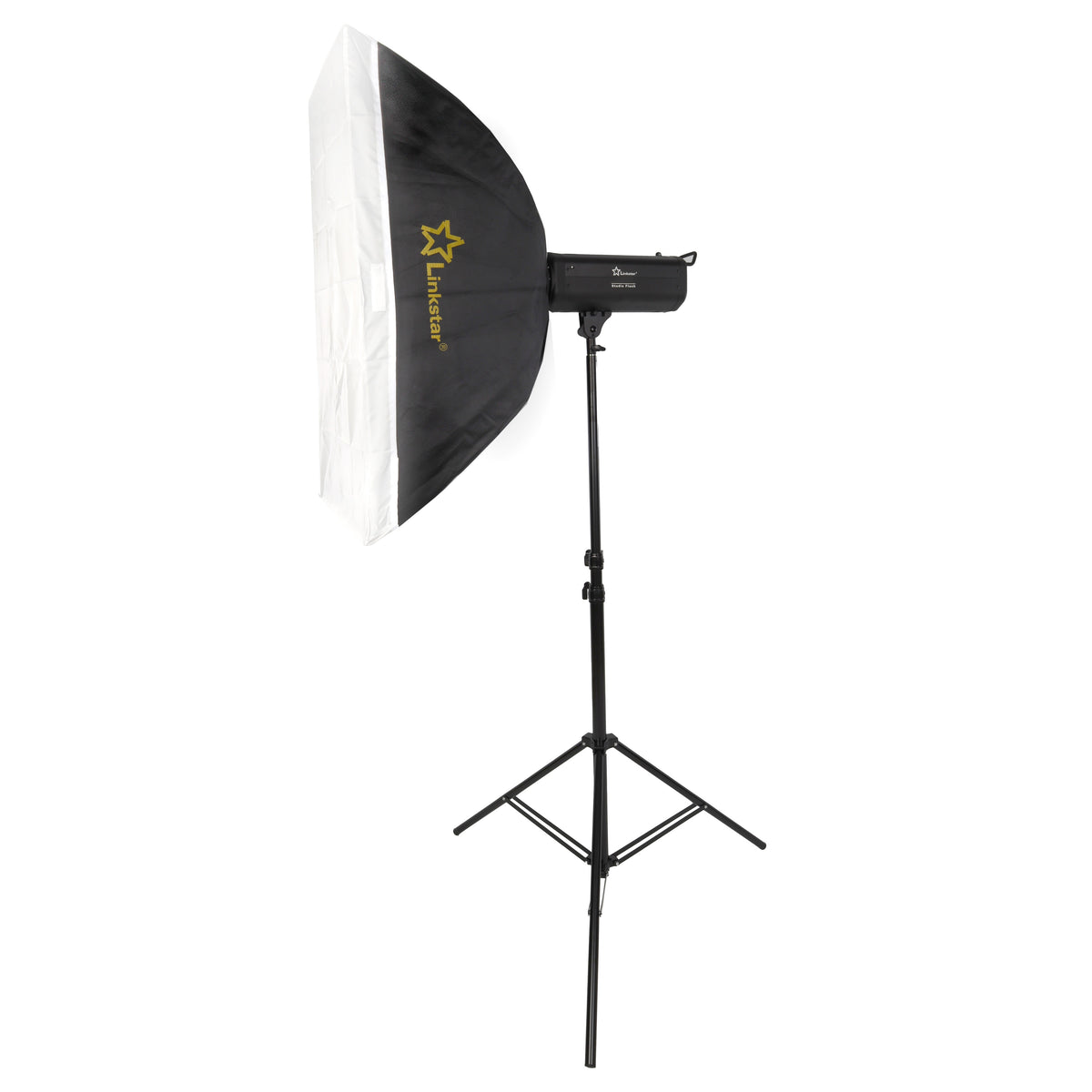 Linkstar Flash Kit LFK-250D Digital — 2