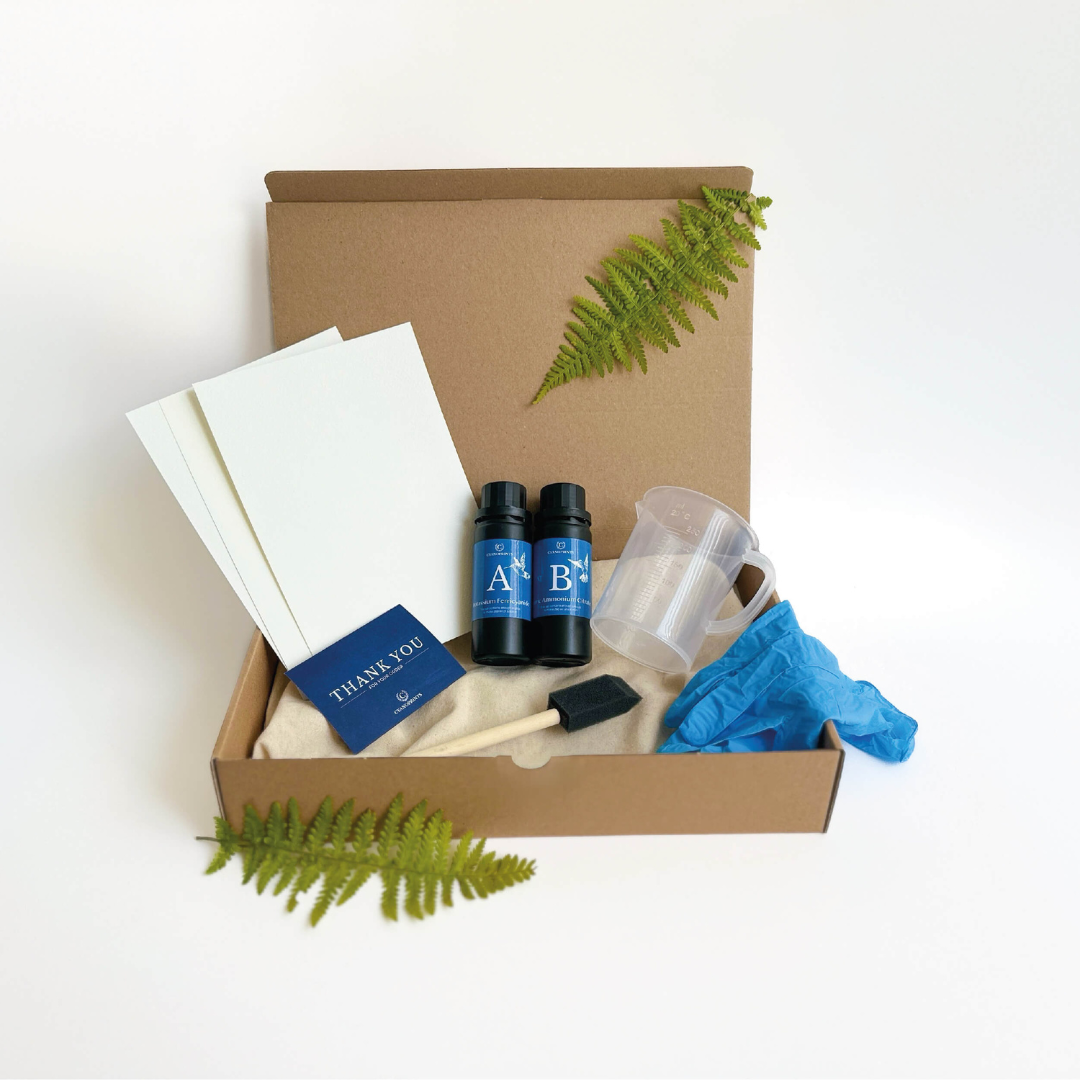 Cyanotype Starter Kit compleet – emulsie, papier en accessoires