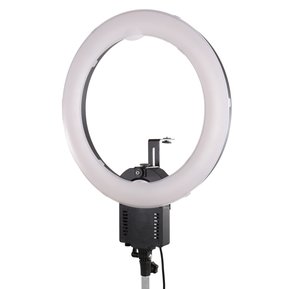 Falcon Eyes Anillo Lámpara FLC-65 65W + TMB-20Z