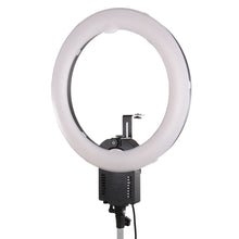 Falcon Eyes Anillo Lámpara FLC-65 65W + TMB-20Z