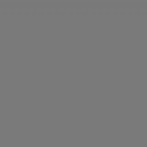 Falcon Eyes Tela de fondo S010 2,9x7 m Gris