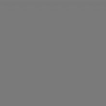Falcon Eyes Tela de fondo S010 2,9x7 m Gris