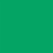 Falcon Eyes Papel de fondo 46 Chroma Verde 2.18 x11 m