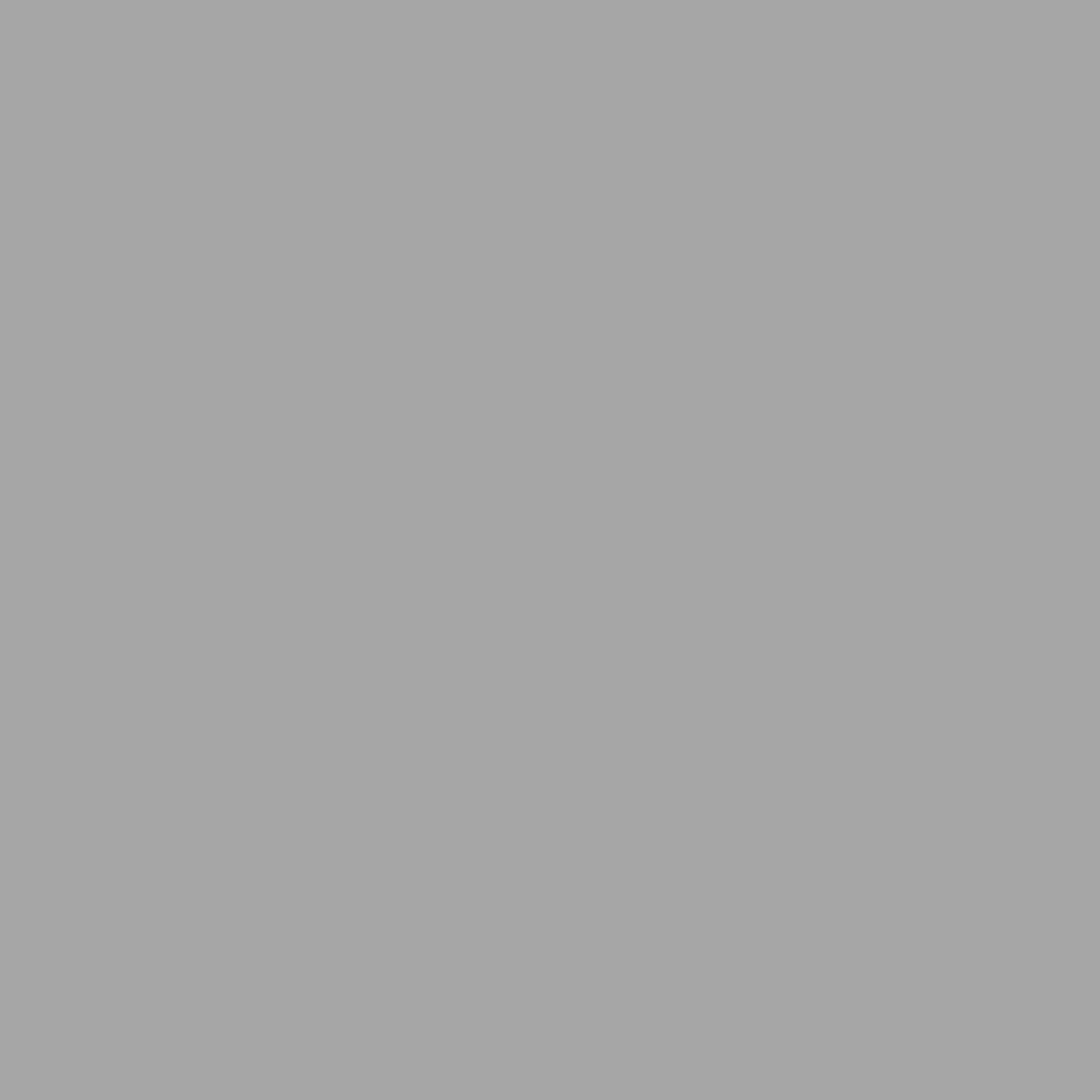 Falcon Eyes Tela de fondo BCP-03 2,9x5 m Gris Lavable