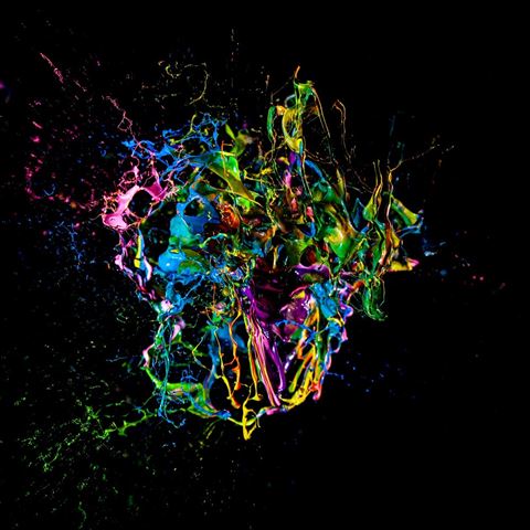 Miops Smartphone Disparador de cámara MD-C1 con C1 Cable para Canon — 5