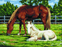 R&L Artist Canvas A3 Pintar por números - Horses in Field