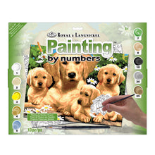 R&L Junior Large A3 Pintar por números - Golden Retriever & Puppies