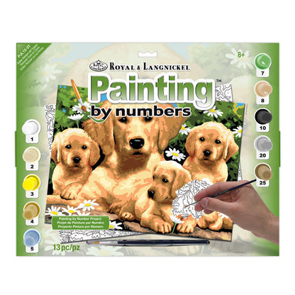 R&L Junior Large A3 Pintar por números - Golden Retriever & Puppies