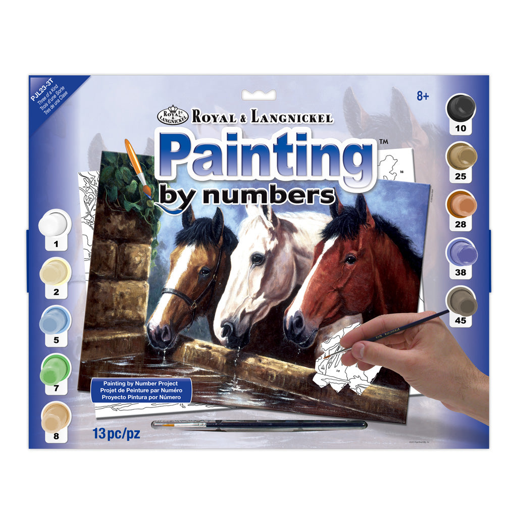 R&L Junior Large A3 Pintar por números - Three of a Kind
