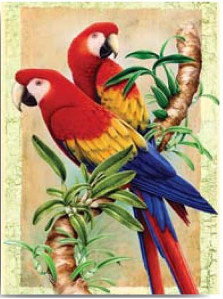 R&L Junior Small A4 Pintar por números - Bamboo Parrots