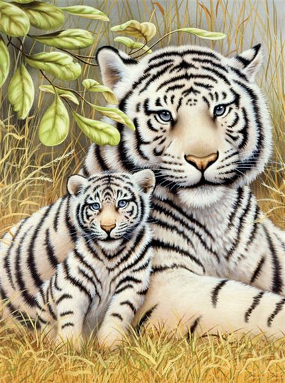 R&L Junior Small A4 Pintar por números - White Tiger Pair
