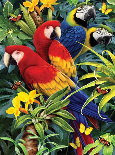 R&L Junior Small A4 Pintar por números - Majestic Macaws