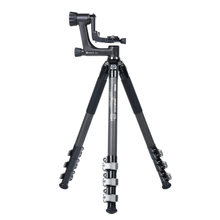 Sirui Sportich Fibra de carbono Trípode SP324+BH-10