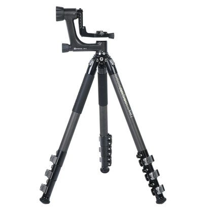 Sirui Sportich Fibra de carbono Trípode SP324+BH-10 — 2