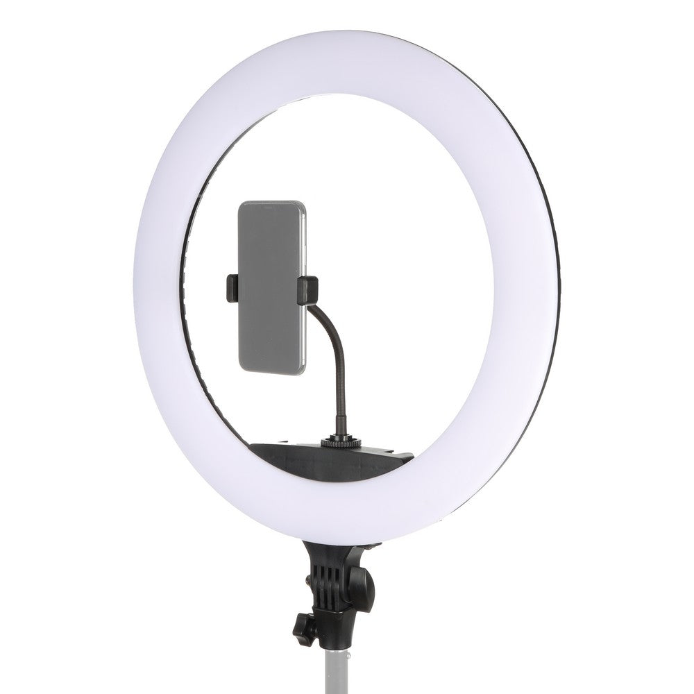 StudioKing LED Anillo Lámpara Kit 65W LR-650 — 3