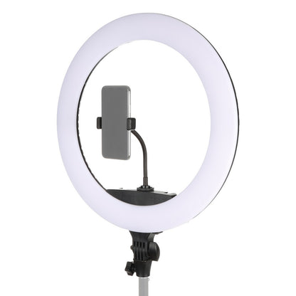 StudioKing LED Anillo Lámpara Kit 65W LR-650 — 3