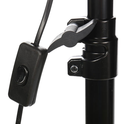 StudioKing Kit de luz diurna PK-SB608K 2x85W — 6