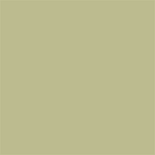 Superior Papel de fondo 13 Tropical Verde 1.35 x 11m — 2