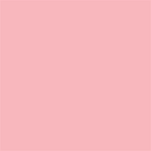 Superior Papel de fondo 17 Carnation Rosa 1.35 x 11m — 2