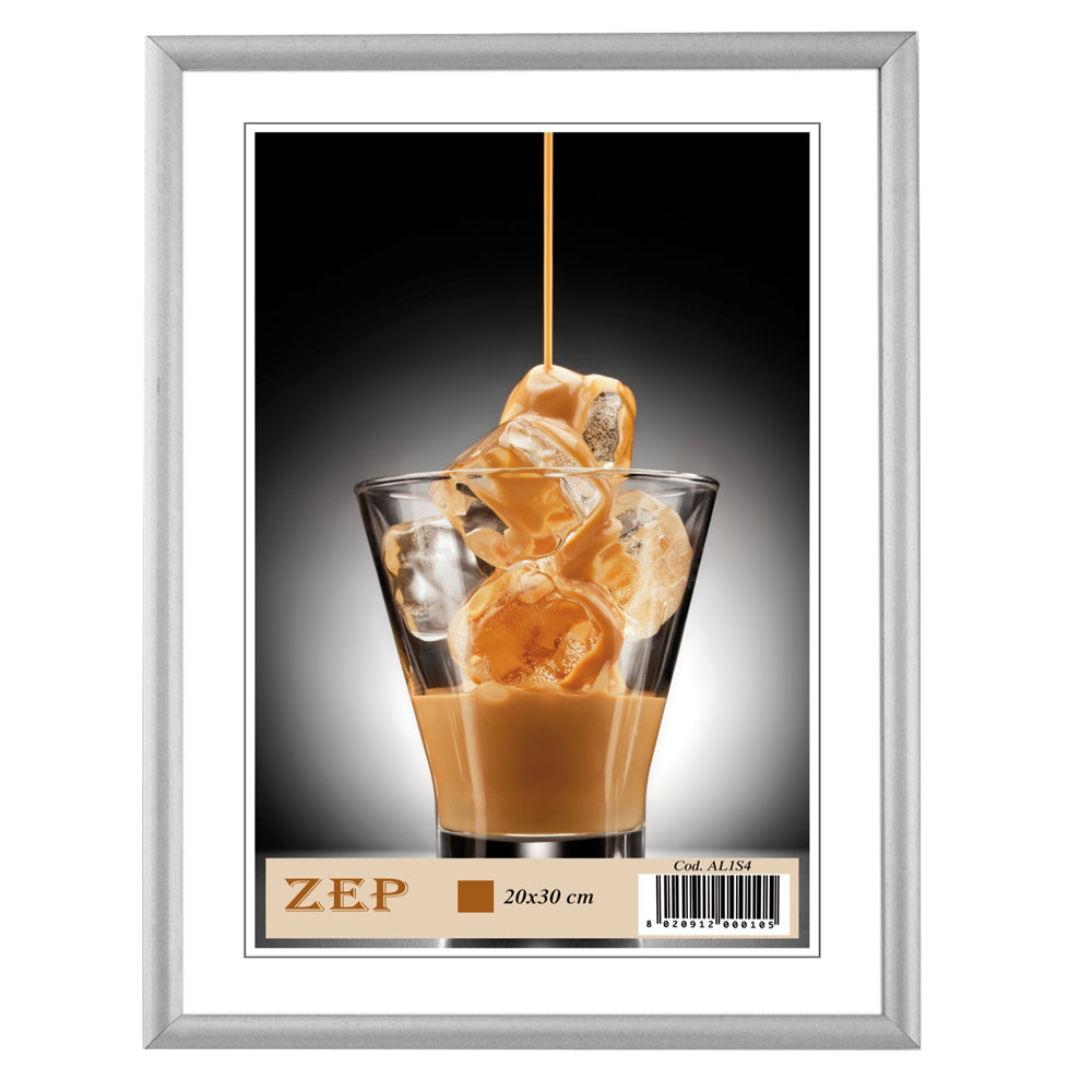 Zep Marco de fotos AL1S1 Plateado 10x15 cm