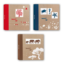 Zep NF293150 Pergamin Álbum 50 Hojas 29x31 cm 6 Unidades