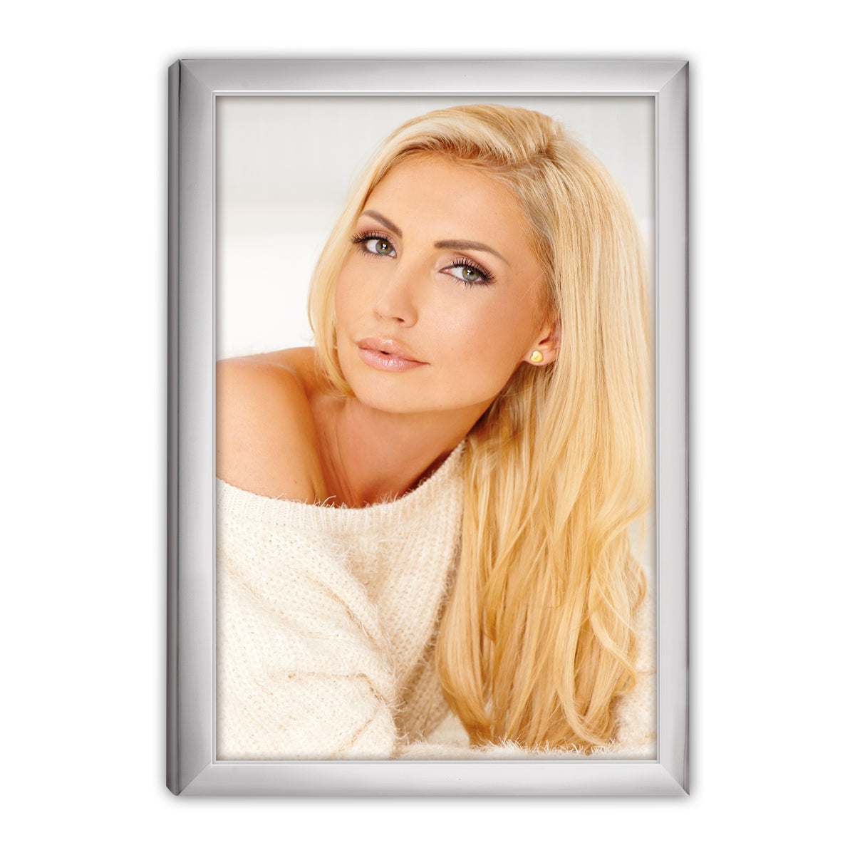 Zep 120S20-8R Plateado Marco 20x25 cm